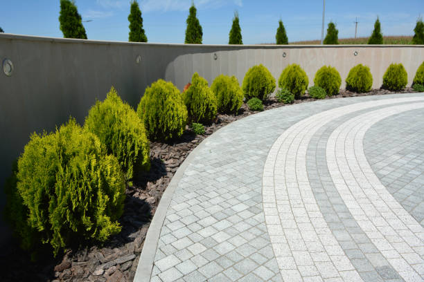 Best Driveway Paving Contractor  in Robstown, TX