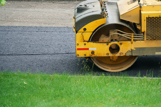 Best Professional Driveway Pavers  in Robstown, TX